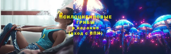 ПСИЛОЦИБИНОВЫЕ ГРИБЫ Вязьма
